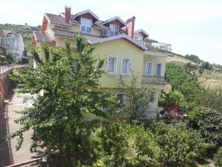 Paradise Villa Trabzon - Trabzon - 9