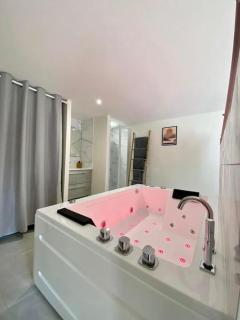 LOFT Jardin et Spa - Bressuire - 5