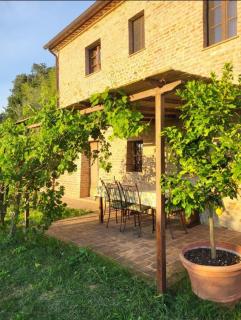 Podere San Selvatico - Città della Pieve - 3