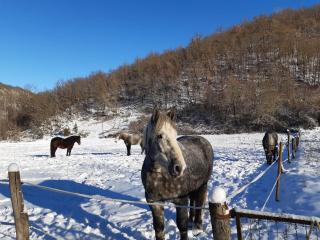 Agriturismo Casa Castellini - 2