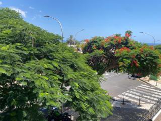 Santa Cruz de Tenerife Toscal, Free Parking - 4