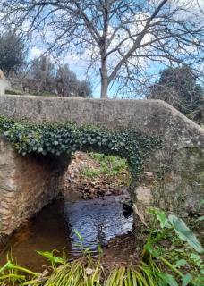 Olive -Casa da Boavista - Alegrete - 1