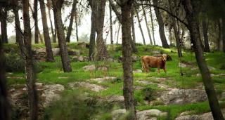 Estehar Hotel - Gid‘ona - 1