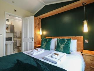 Buttercup - Swadlincote - 1