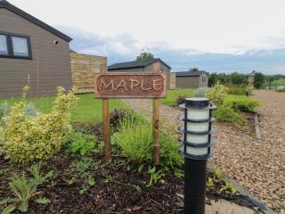 Maple - 9
