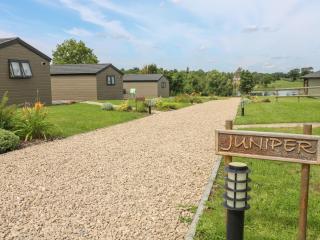 Juniper - Swadlincote - 9