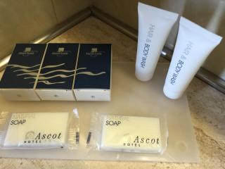 Hotel Ascot & Spa - 8