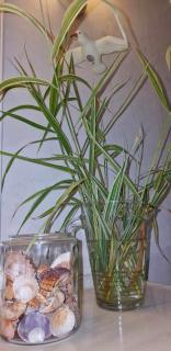 Berggården Vandrarhem - 6