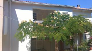 Apartments and rooms LJUBICA - Lun - 6