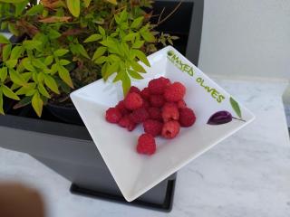 Marena B&B - Pogradec - 5