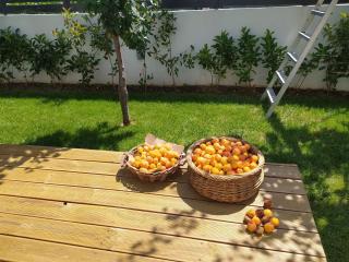 Marena B&B - Pogradec - 4