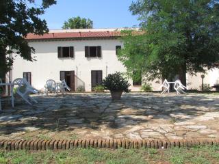 azienda agrituristica Allumiere - Campiglia Marittima - 7
