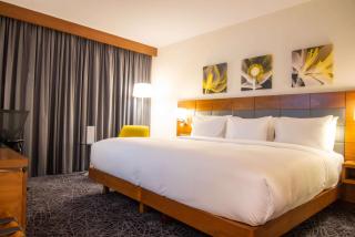 Hilton Garden Inn Nairobi Airport - Nairobi - 2