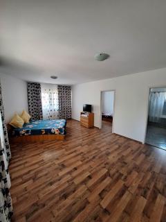 Casa Armonia Costinesti - Schitu - 4