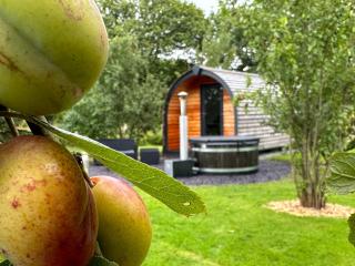 Tyddyn Parthle Pod 1 - 1