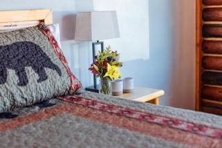 Big Medicine Cabins - 1