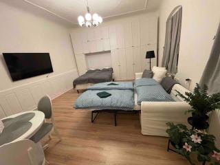 Good old Times apartment - Bratislava - 0