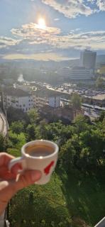 Ahmetspahic Home - Sarajevo - 8