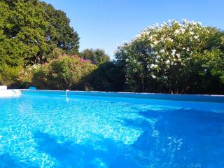 Trulli con piscina privata - Locorotondo - 8