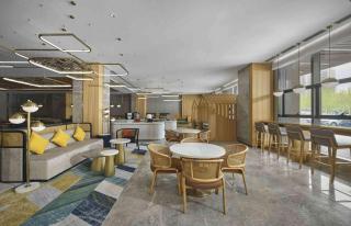 Hilton Garden Inn Xingtai Xiangdu District - Lujiayuan - 9