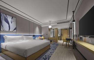 Hilton Garden Inn Xingtai Xiangdu District - Lujiayuan - 3