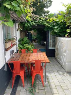 The Vineyard - 4