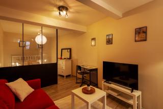 Appartement entier Strasbourg Centre - Strasburgo - 4