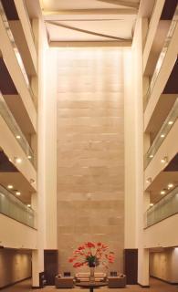 Hilton Garden Inn New Delhi/Saket - Nova Deli - 5