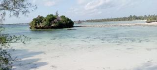 Coral Bay Zanzibar - - 6