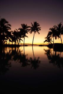 DoubleTree by Hilton Fiji - Sonaisali Island - Nadi - 5
