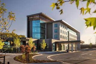 DoubleTree By Hilton Auckland Karaka - Auckland - 9