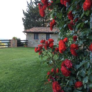 Agriturismo La Bicocca - Apt. "Il Leccio" - 4