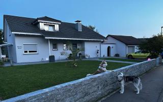 Minalya Home - Laufenburg - 4