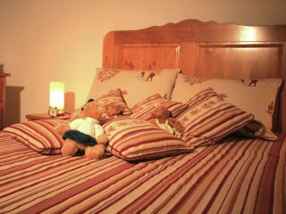 Apartment in Samoëns near Pine Forests - 6