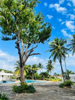 Beachfront Studio-Waves & Wanderlust Haven - Mombassa - 5