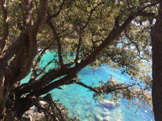 Infinity view - Vernazza - 5