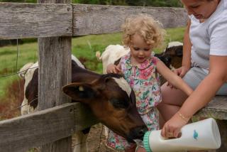 Bodalla Dairy Shed Guest Rooms - Bodalla - 5