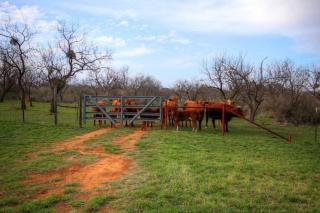 Llano River Ranch - Llano Riverfront Cabin on 100 Acres! - Llano - 1