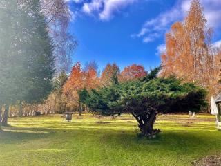 Maison normande sur parc arboré ambiance bucolique - La Gonfrière - 5