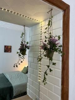 Guest House Rusu - Brasov - 2