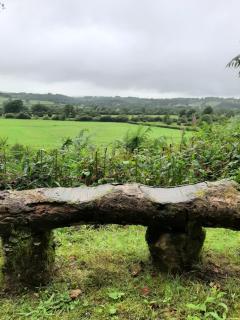 Y Smithy - Llanybydder - 5