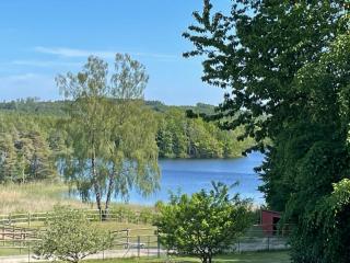 Stuga Ljungsjön - Falkenberg - 0