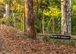 Hunchy Escape - Montville - 7