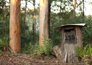 Hunchy Escape - Montville - 3