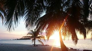 Diegun Tours - Città di Panama - 1