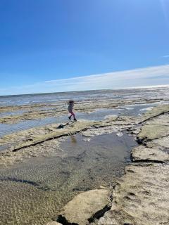 Iggy’s Beach House - Aldinga Beach - 5