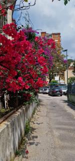 B&B Ciruzzo - Naples - 9