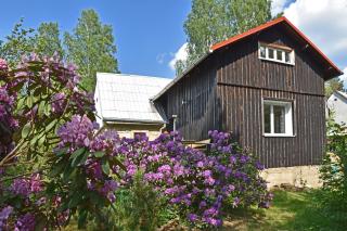 Bušeranda - depandance Hotelu U Zeleného stromu - Děčín - 4
