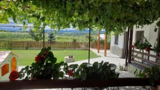 Căsuța din Deal - Târgu Neamț - 5