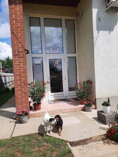 Opál Apartman - Nyíregyháza - 0